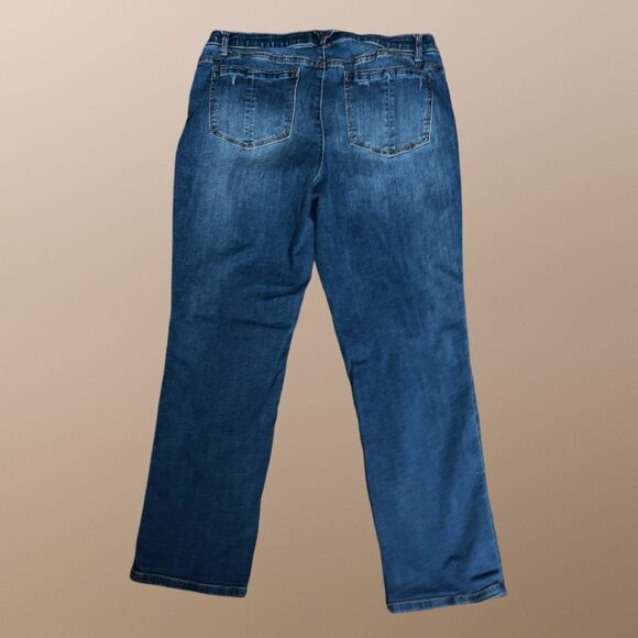 Plus Size Democracy Ab Solution Embroidered High Rise Jeans Size 16 36x28 #217 - Picture 3 of 6